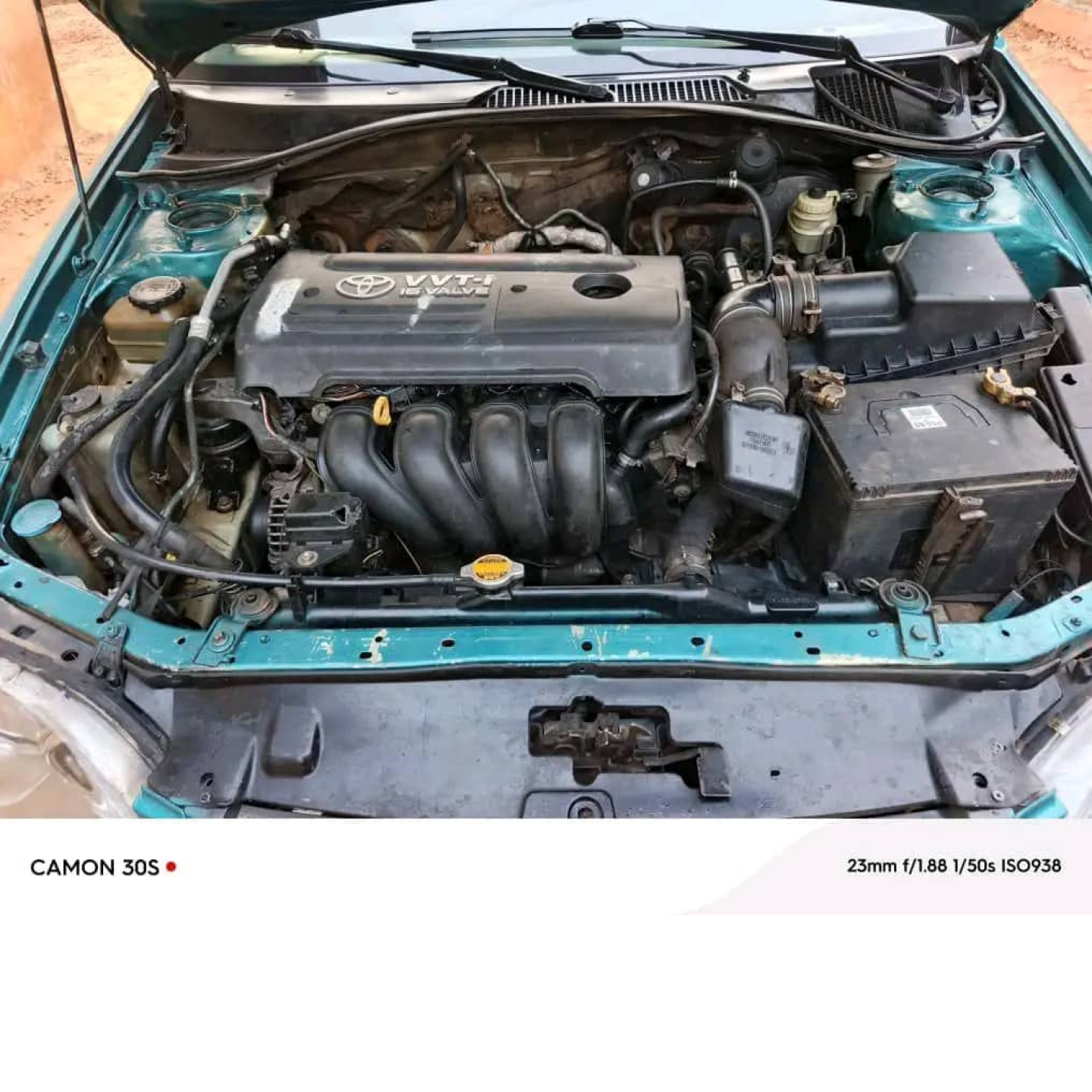 Avensis leafback